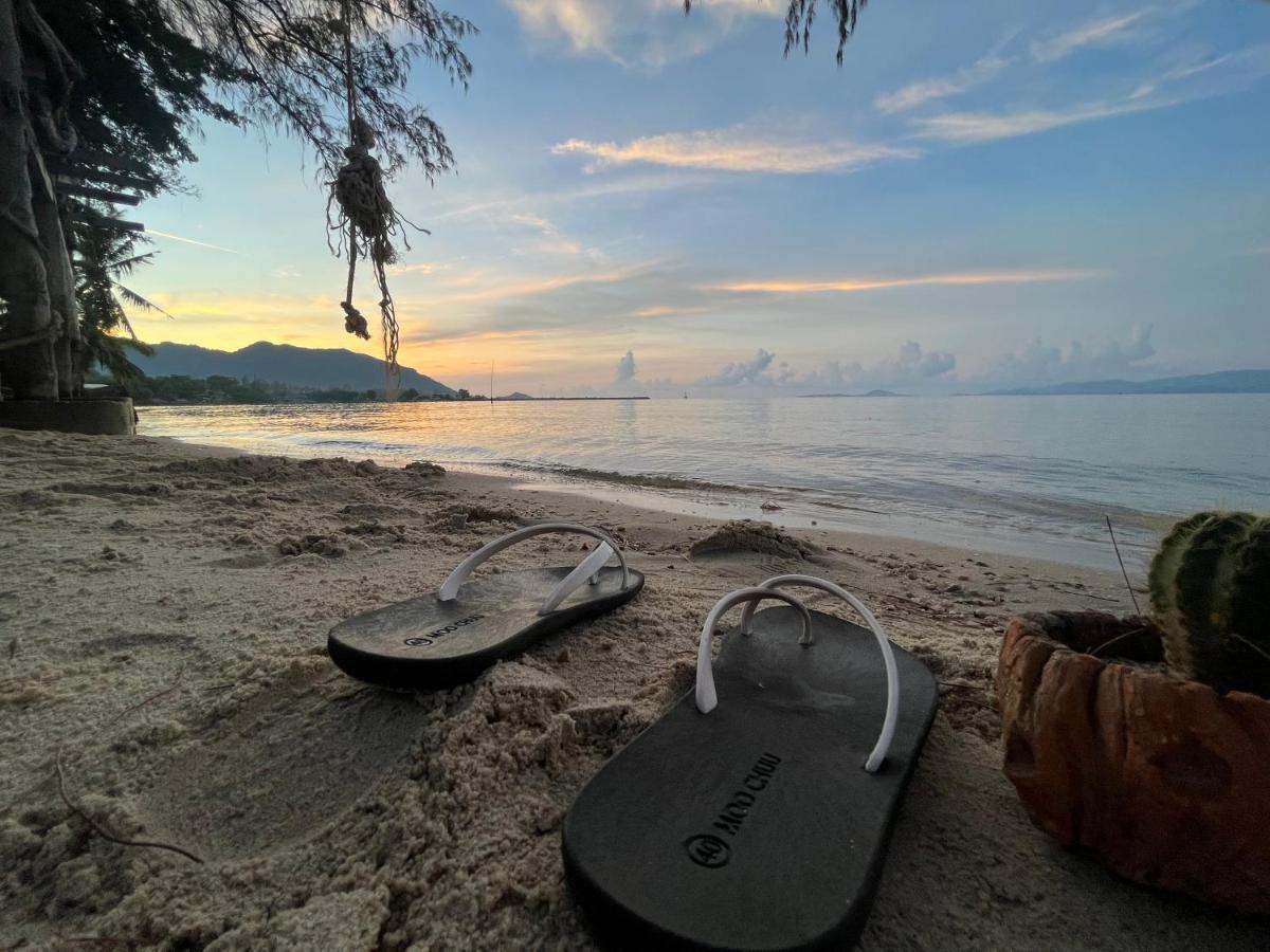 Phangan Dream Box Otel Baan Tai Dış mekan fotoğraf