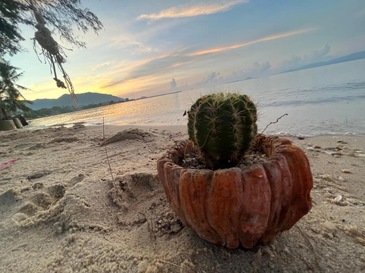 Phangan Dream Box Otel Baan Tai Dış mekan fotoğraf