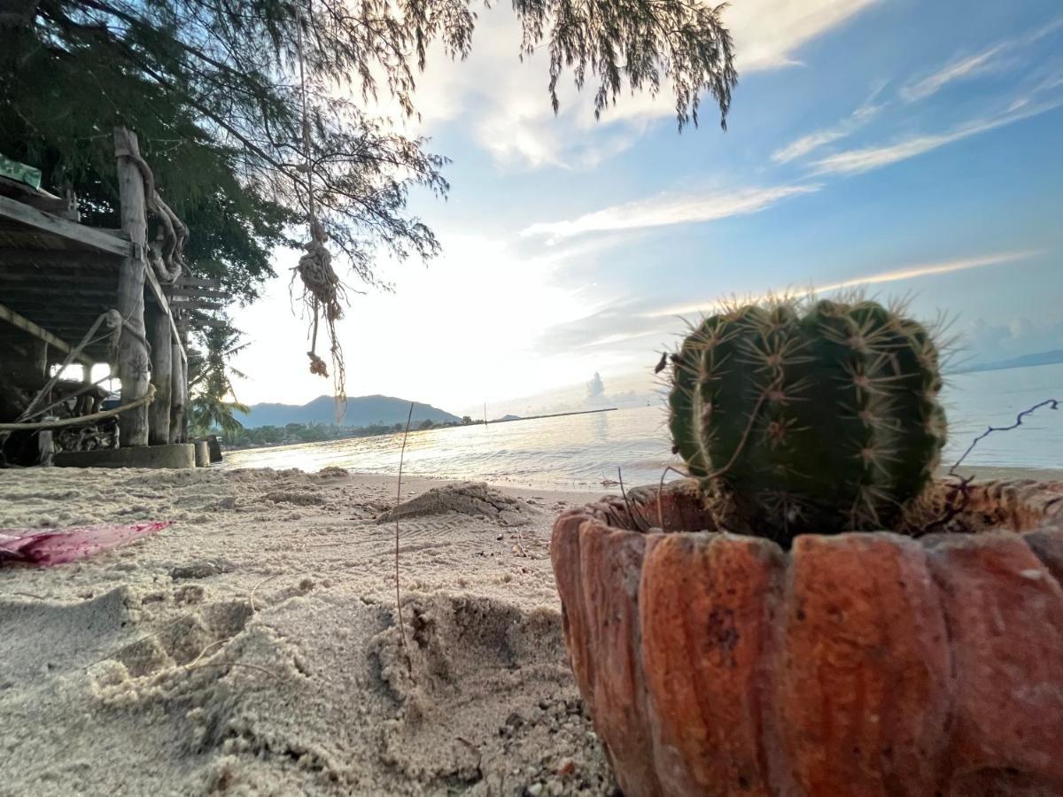 Phangan Dream Box Otel Baan Tai Dış mekan fotoğraf