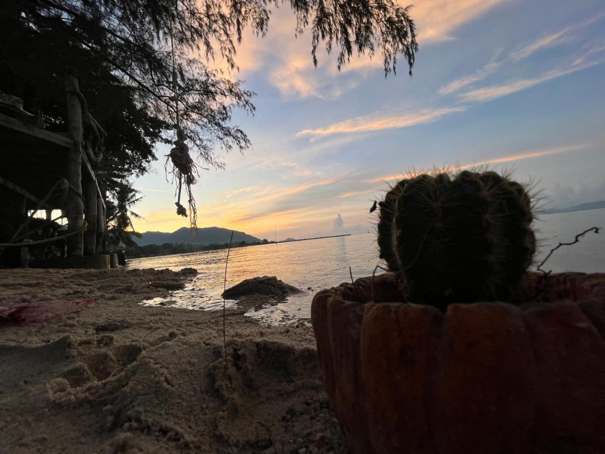 Phangan Dream Box Otel Baan Tai Dış mekan fotoğraf