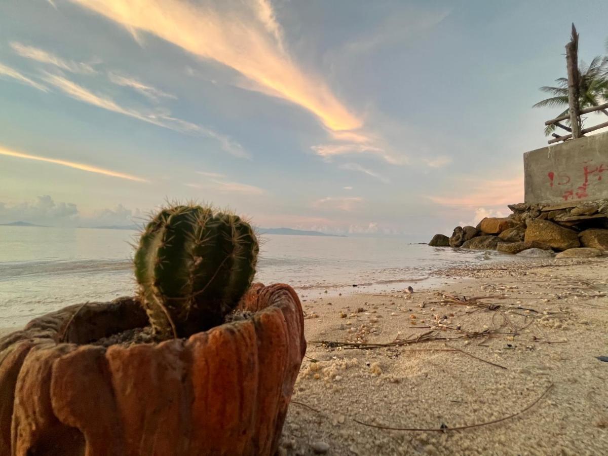 Phangan Dream Box Otel Baan Tai Dış mekan fotoğraf